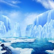 arctic_life_background